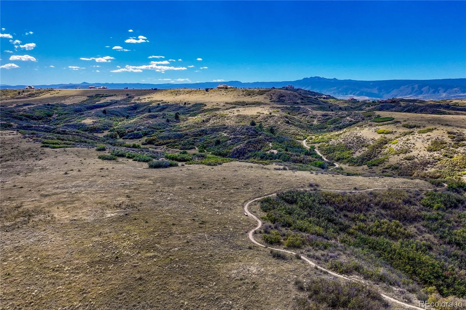 1410 Exquisite Street Castle Rock CO 80109 MLS #REC3881206 06292026143241 1600 45