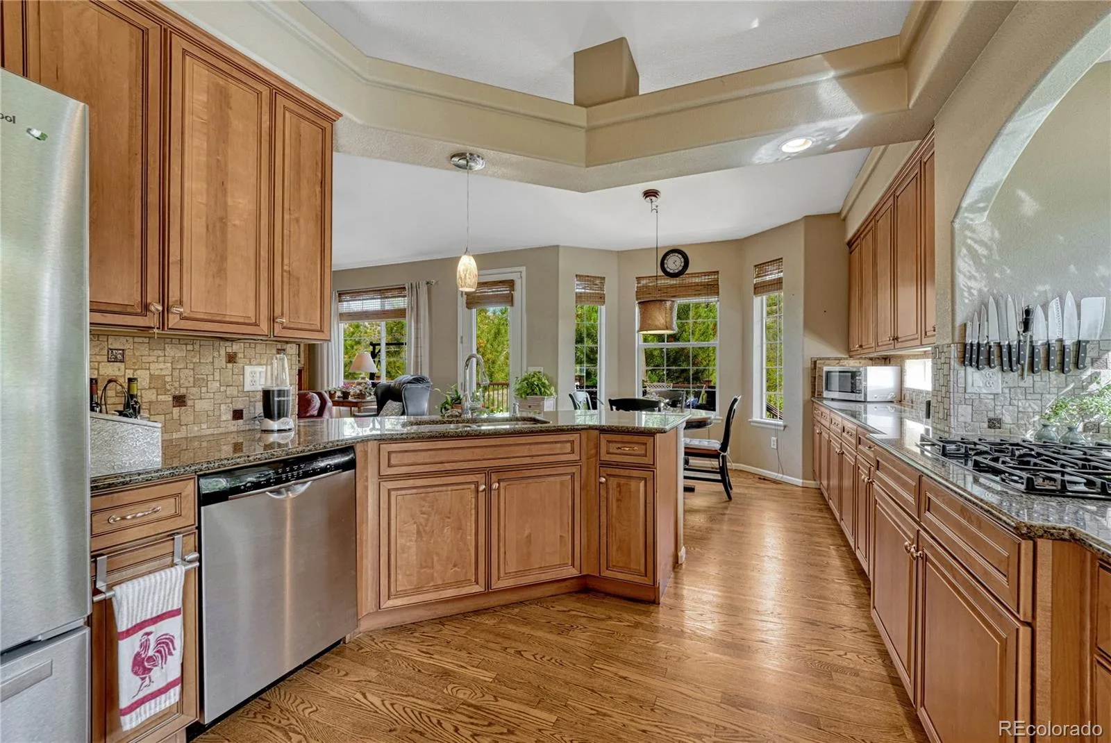 1410 Exquisite Street Castle Rock CO 80109 MLS #REC3881206 06292026143241 1600 7