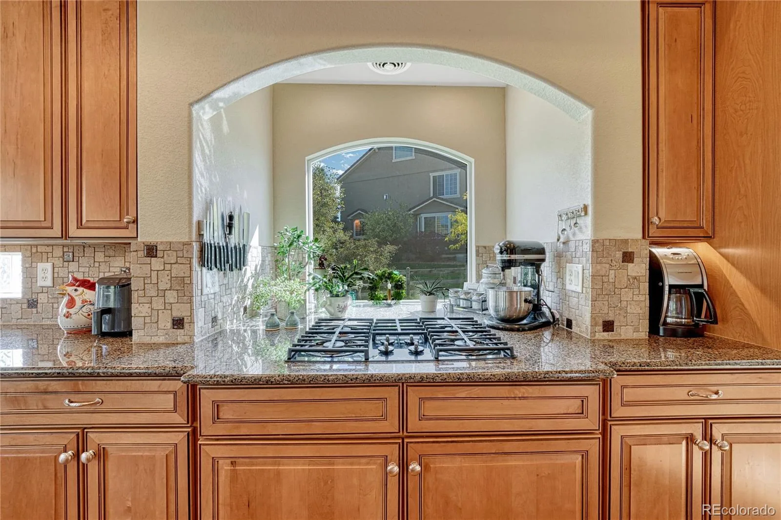 1410 Exquisite Street Castle Rock CO 80109 MLS #REC3881206 06292026143241 1600 8
