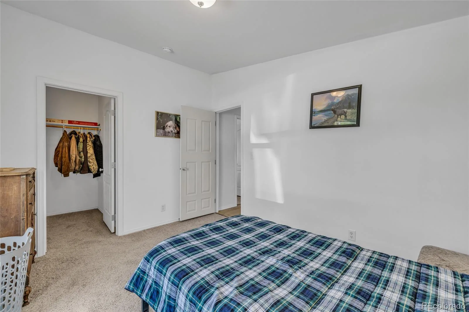 336 Lilac Circle Lochbuie CO 80603 | MLS #REC3883959 06302026205538 1600 14