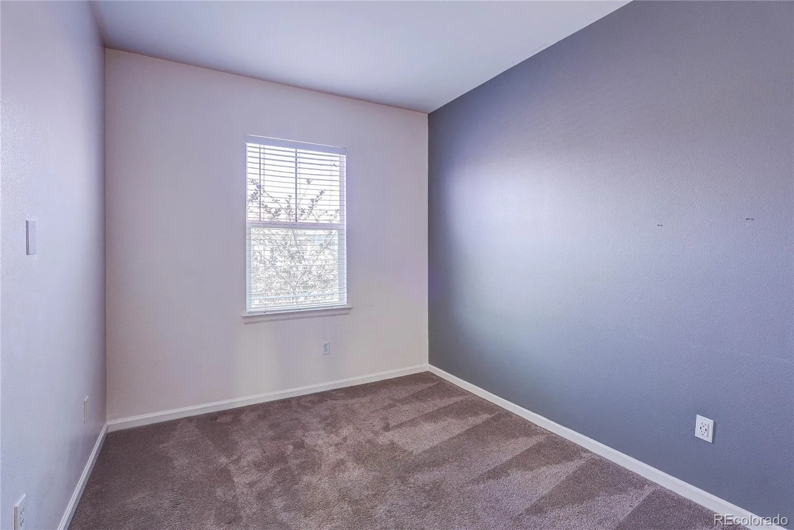 2723 Roslyn Street Denver CO 80238 | MLS #REC3897483 08102026174839 1600 20