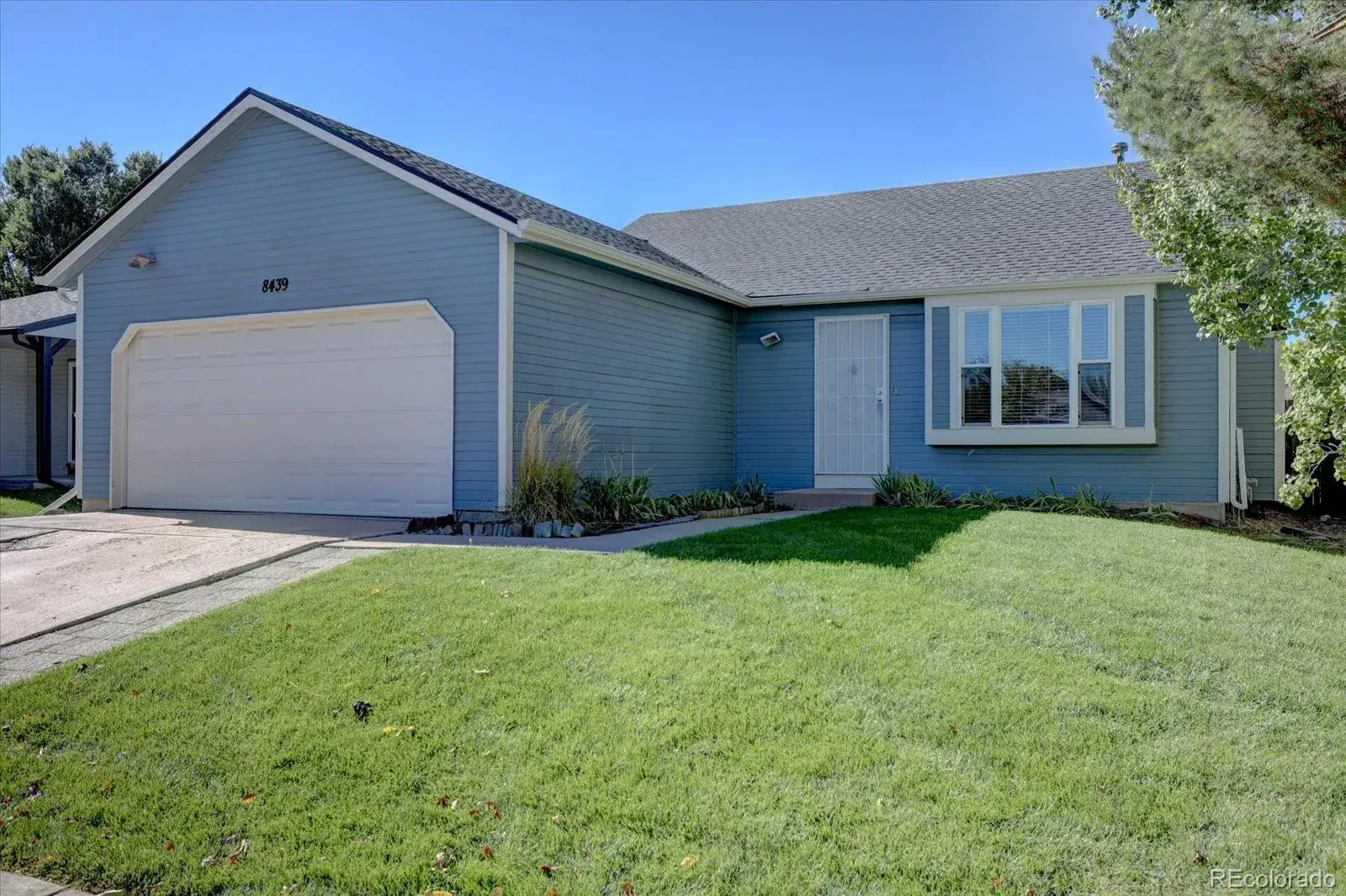 8439 Sandreed Circle Parker CO 80134 | MLS #REC3897959 01172026224748 1600 1