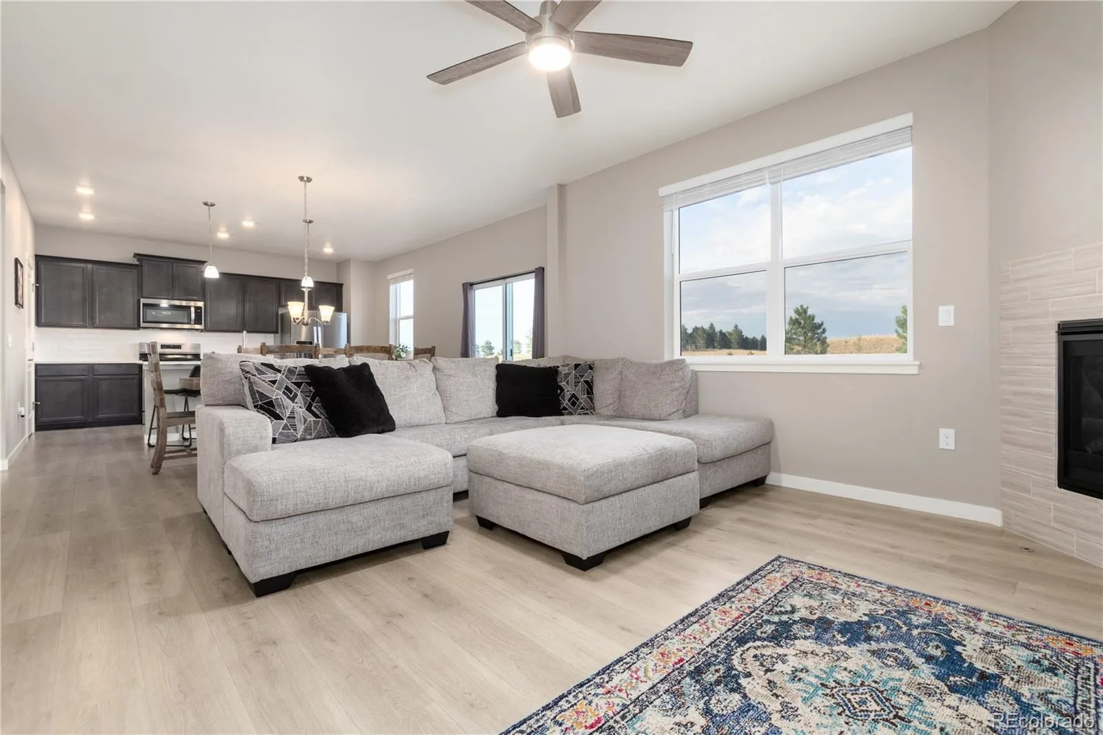 13956 Scarlet Sage Lane Parker CO 80134 | MLS #REC3902156 07102026180921 1600 10