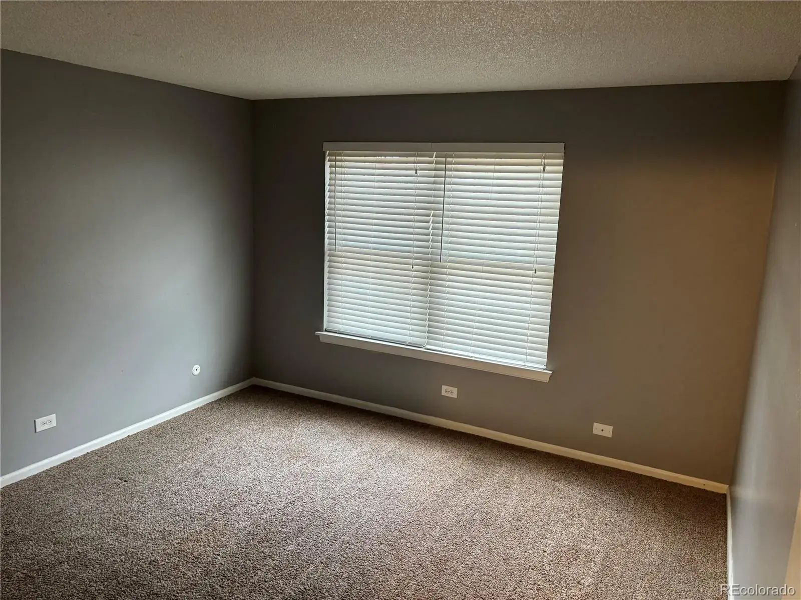 9340 E Girard Avenue #3 Denver CO 80231 MLS #REC3903918 01032026185006 1600 11
