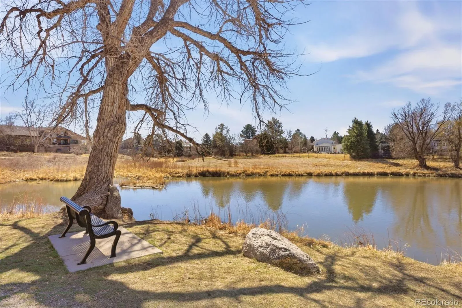 03202026181747 1600 39