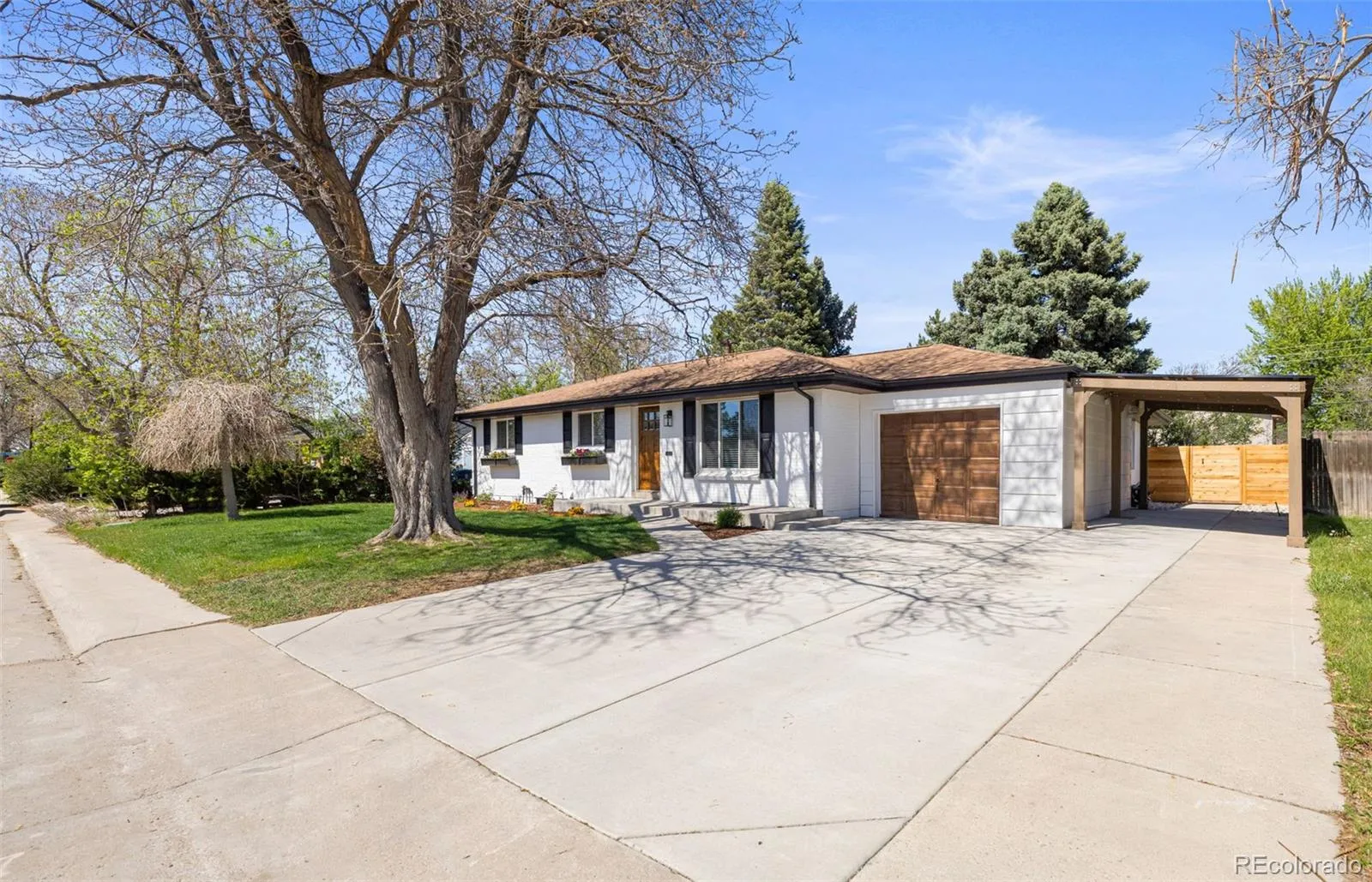 6536 S Kit Carson Street Centennial CO 80121 MLS #REC3914253 05122026225946 1600 1
