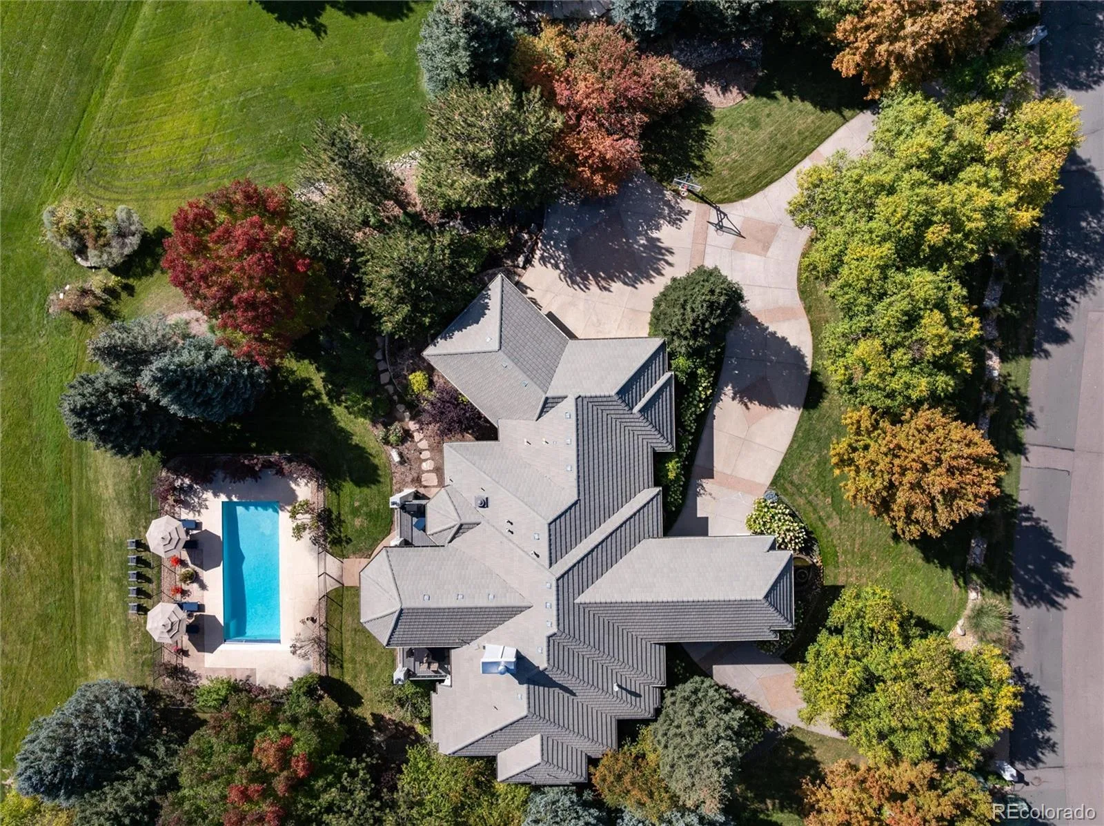6960 S Polo Ridge Drive Littleton CO 80128 | MLS #REC3914652 08252026182336 1600 44
