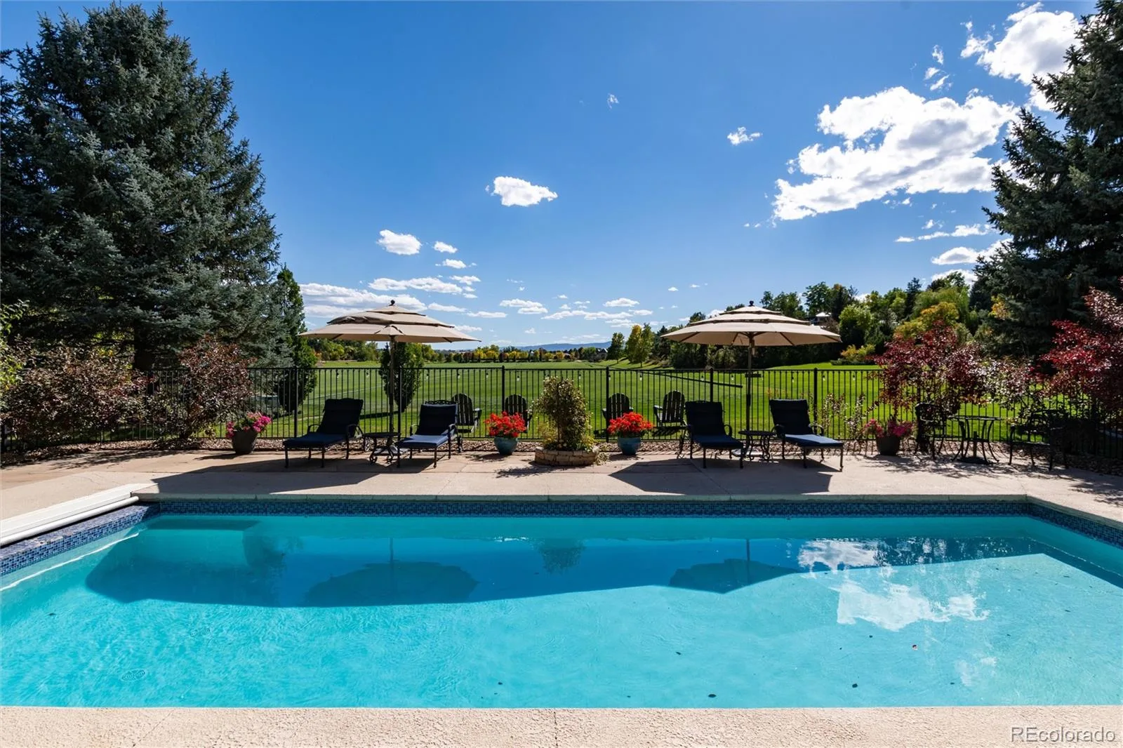 6960 S Polo Ridge Drive Littleton CO 80128 | MLS #REC3914652 08252026182336 1600 48
