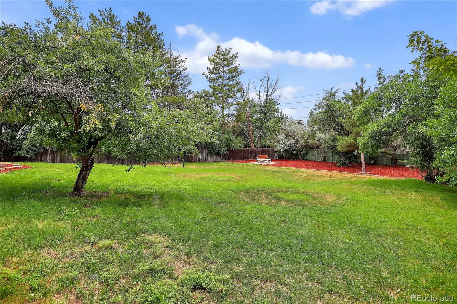 03052026224450 1600 41