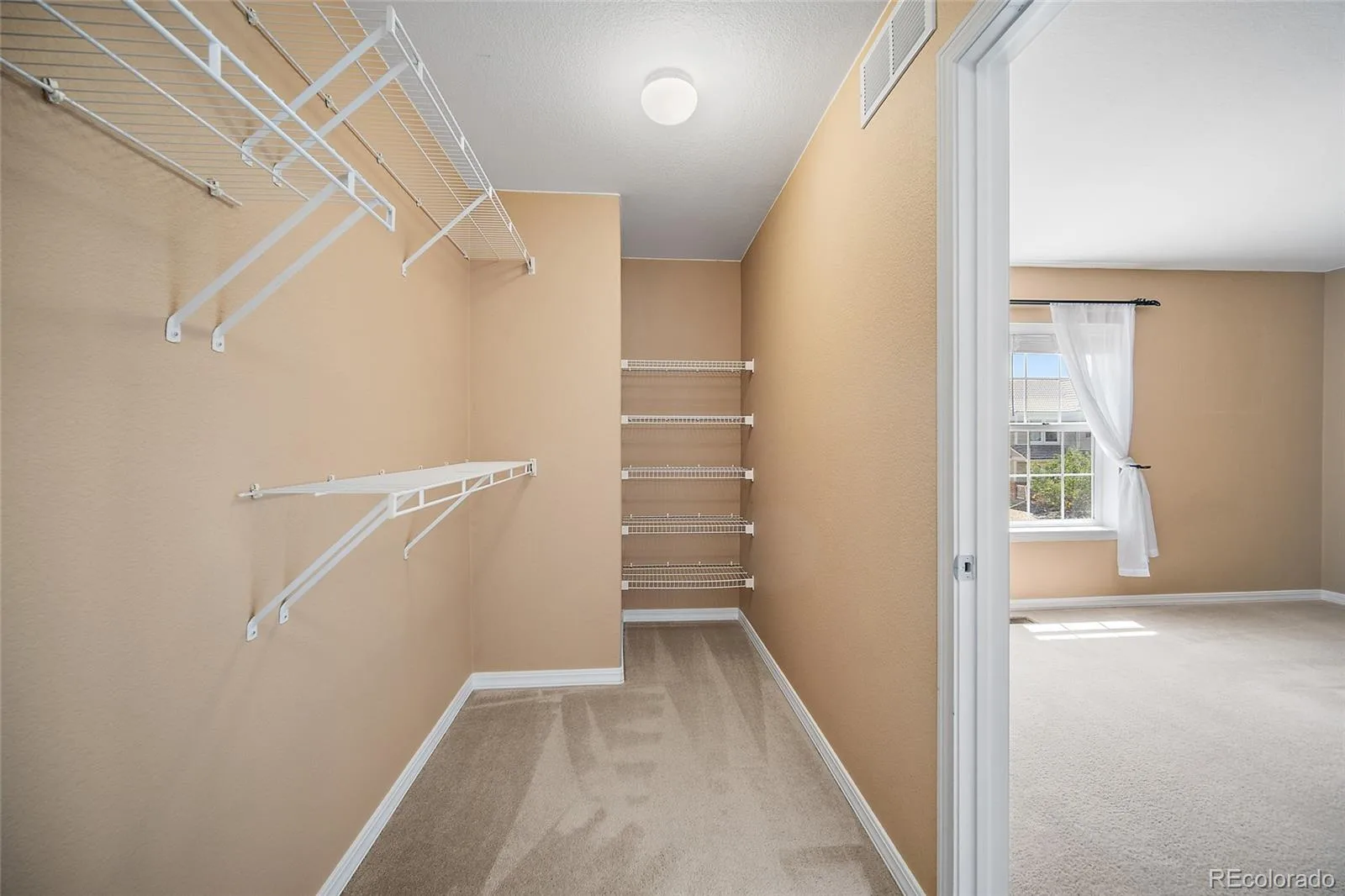 1880 Hogan Court Castle Rock CO 80109 | MLS #REC3918040 07172026042649 1600 35