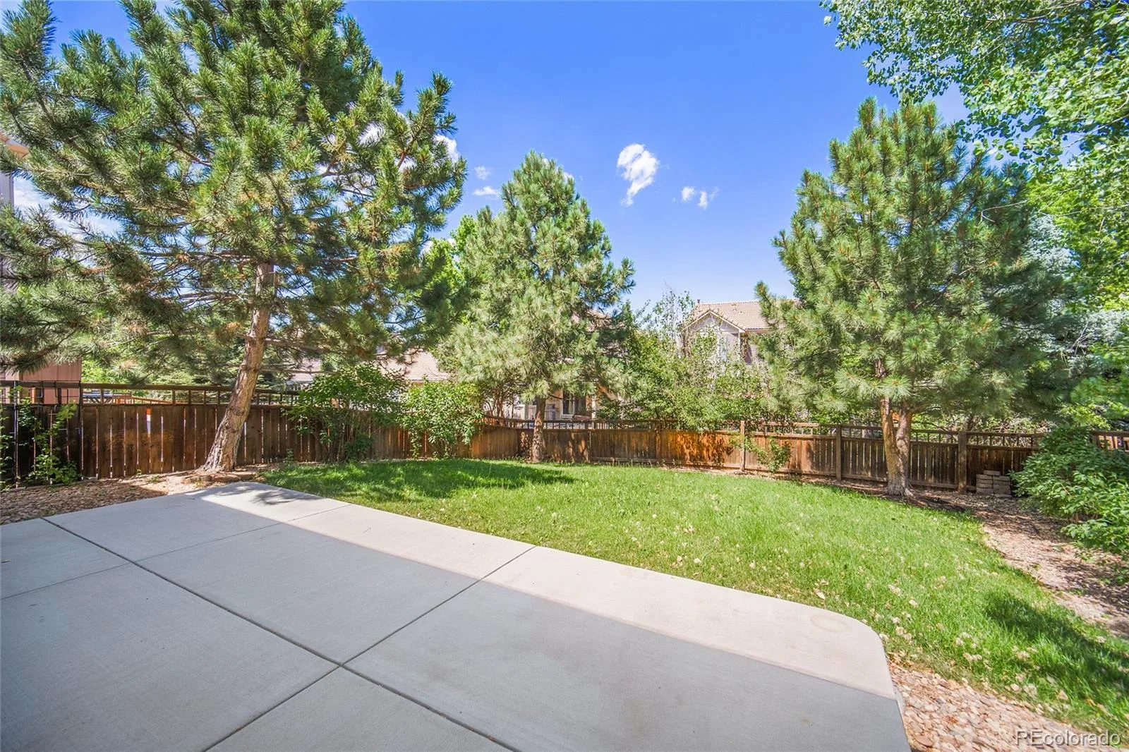 1880 Hogan Court Castle Rock CO 80109 | MLS #REC3918040 07172026042649 1600 37