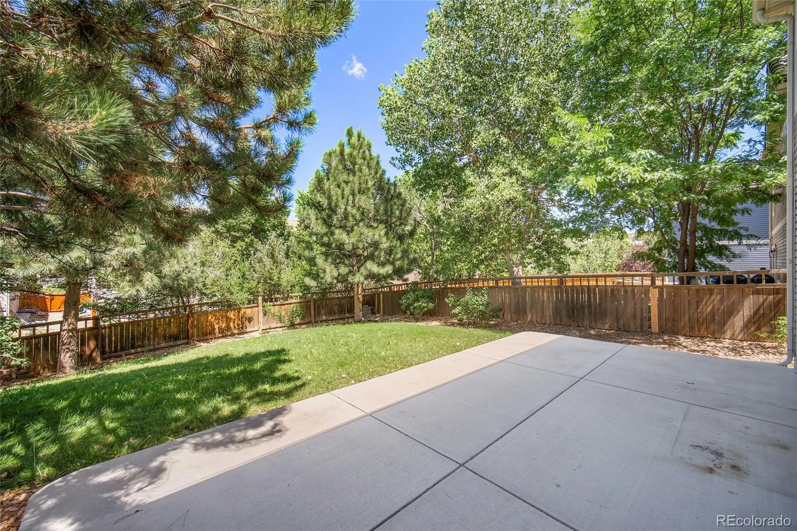 1880 Hogan Court Castle Rock CO 80109 | MLS #REC3918040 07172026042649 1600 38