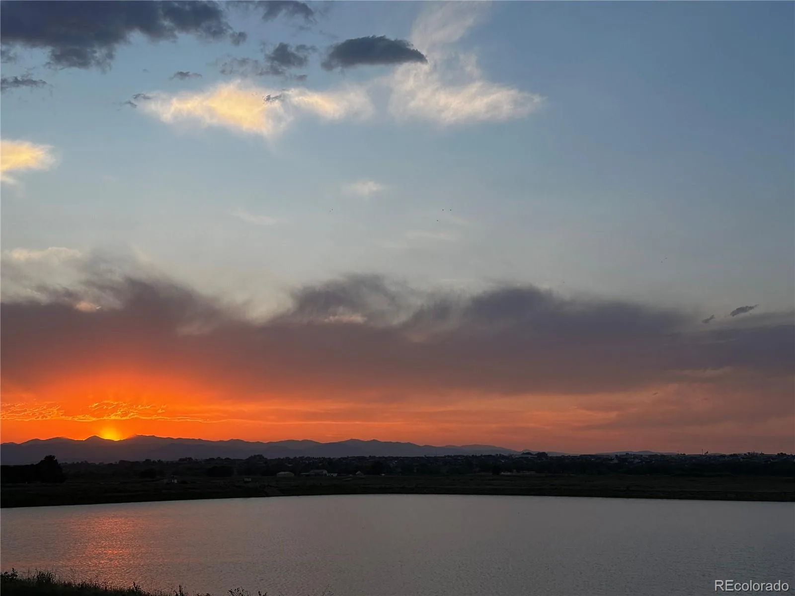 5773 Waverley Avenue Longmont CO 80504 | MLS #REC3919377 07142026221817 1600 30