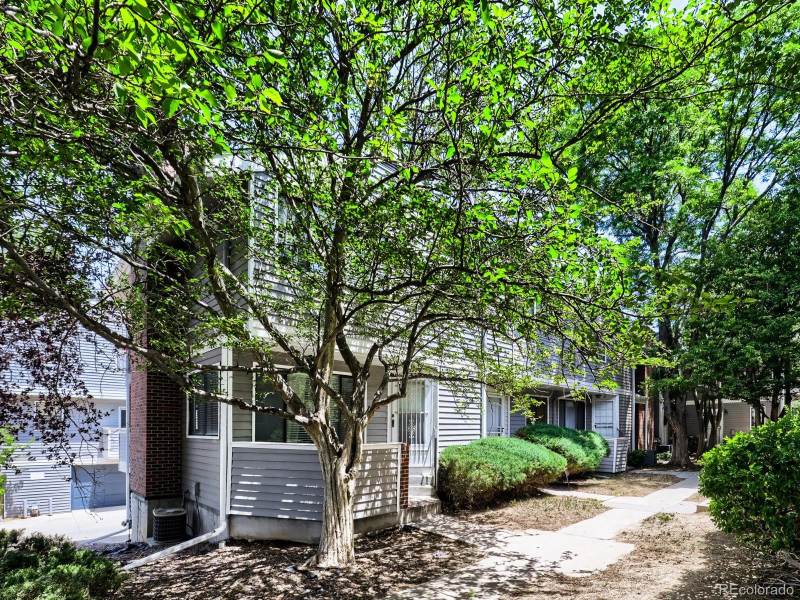 50 S Moline Street Aurora CO 80012 | MLS #REC3919786 06222026184654 1600 16