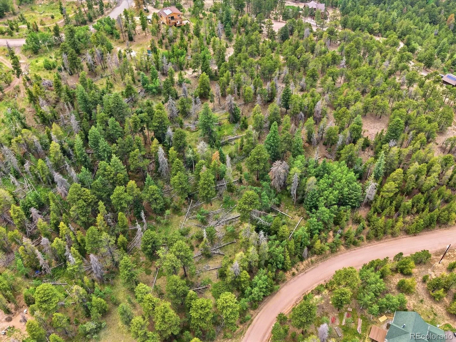 543 Crescent Lake Road Golden CO 80403 | MLS #REC3921848 06252026224757 1600 6