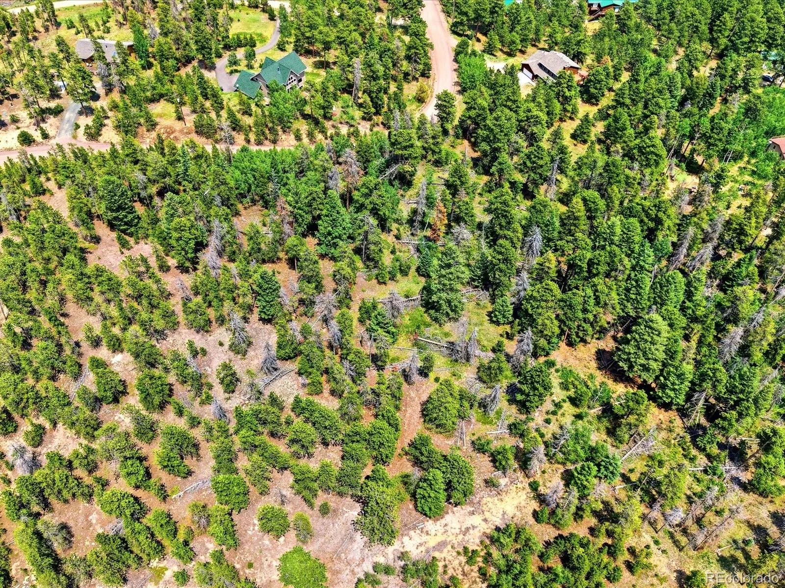 543 Crescent Lake Road Golden CO 80403 | MLS #REC3921848 06252026224757 1600 7