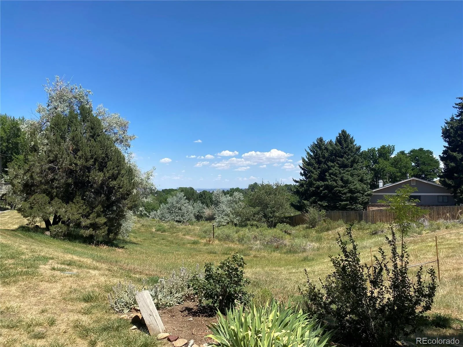 234 S Holman Way Golden CO 80401 | MLS #REC3926184 08272026013412 1600 36