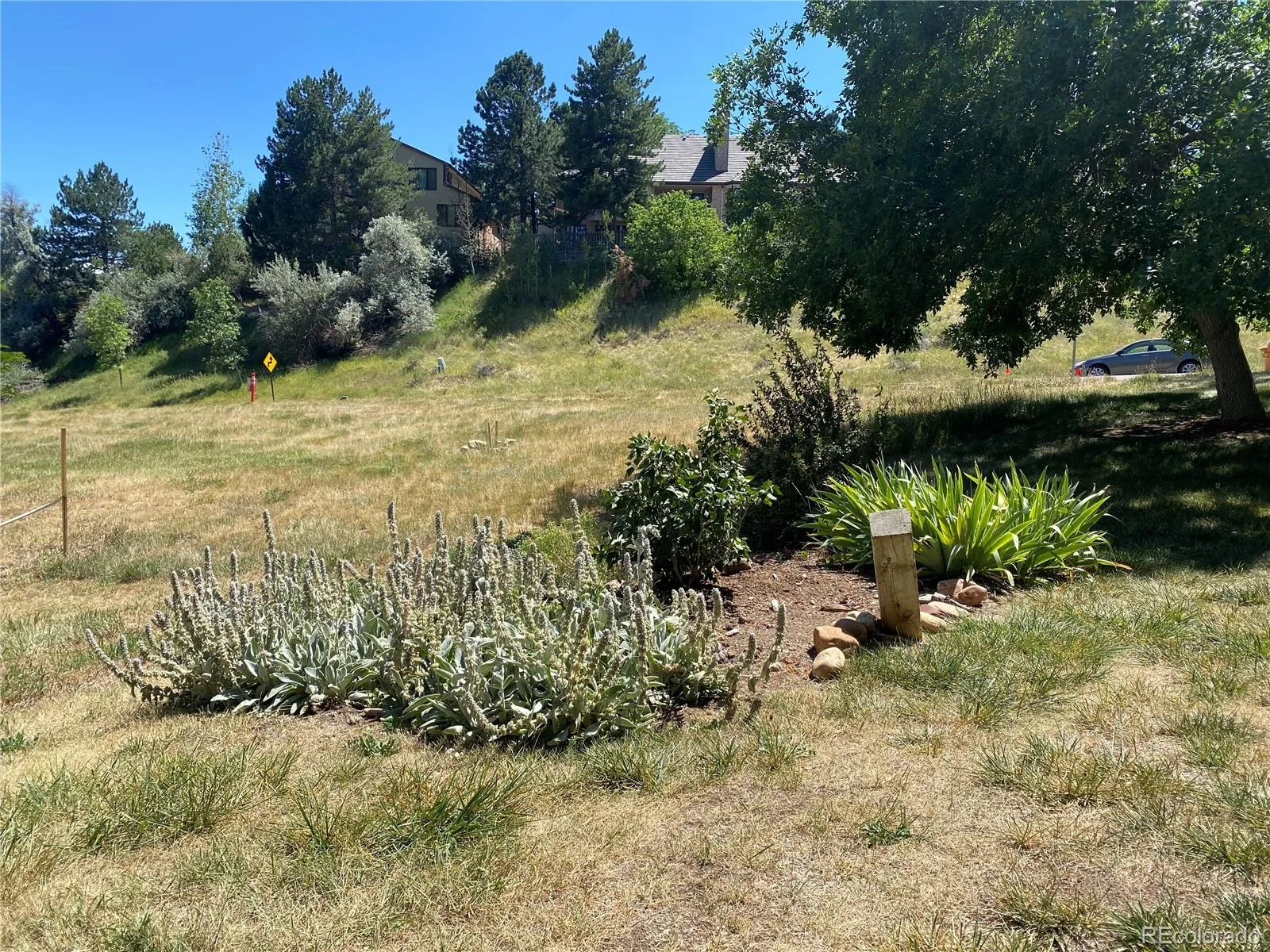 234 S Holman Way Golden CO 80401 | MLS #REC3926184 08272026013412 1600 37