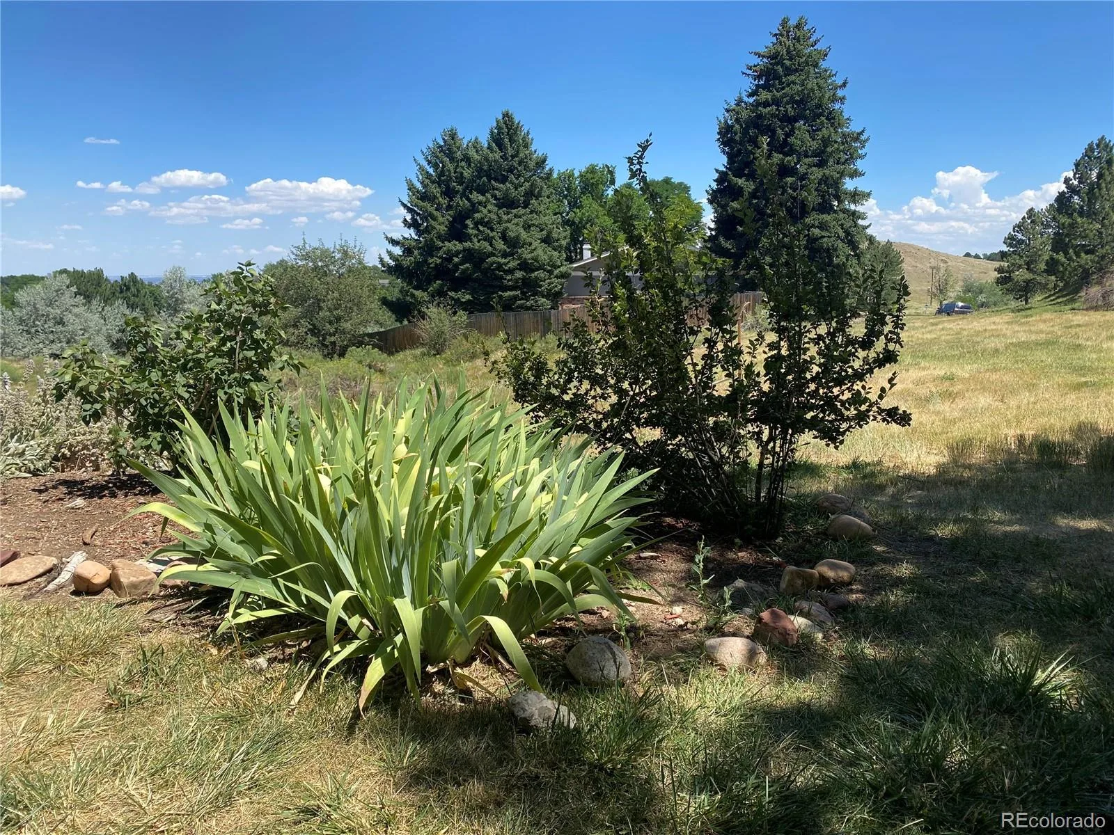 234 S Holman Way Golden CO 80401 | MLS #REC3926184 08272026013412 1600 38