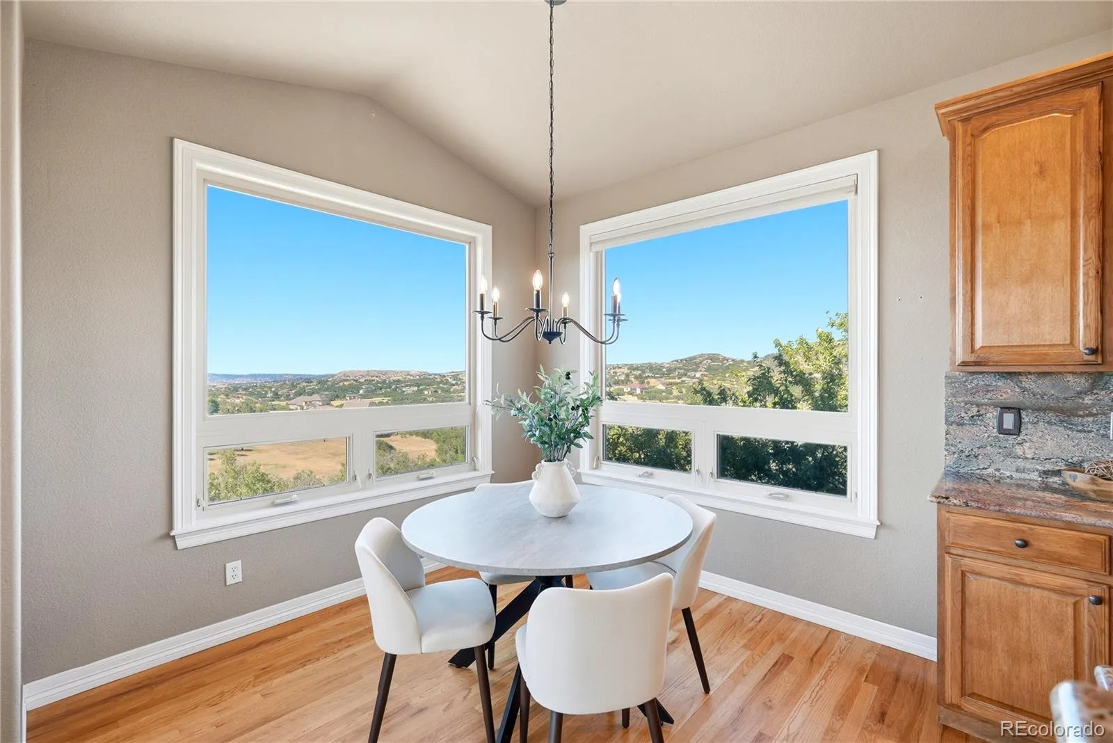 4367 Tallyrand Circle Castle Rock CO 80104 | MLS #REC3940674 07172026065140 1600 15