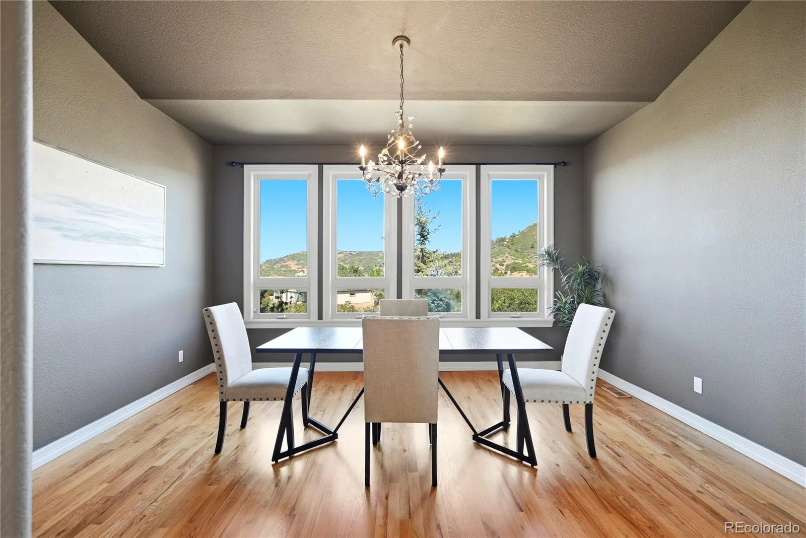 4367 Tallyrand Circle Castle Rock CO 80104 | MLS #REC3940674 07172026065140 1600 5