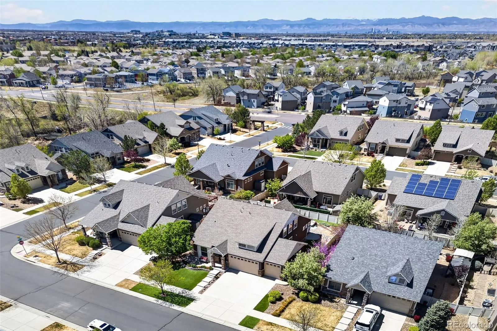 5461 Ensenada Court Denver CO 80249 MLS #REC3941719 04172026162945 1600 41