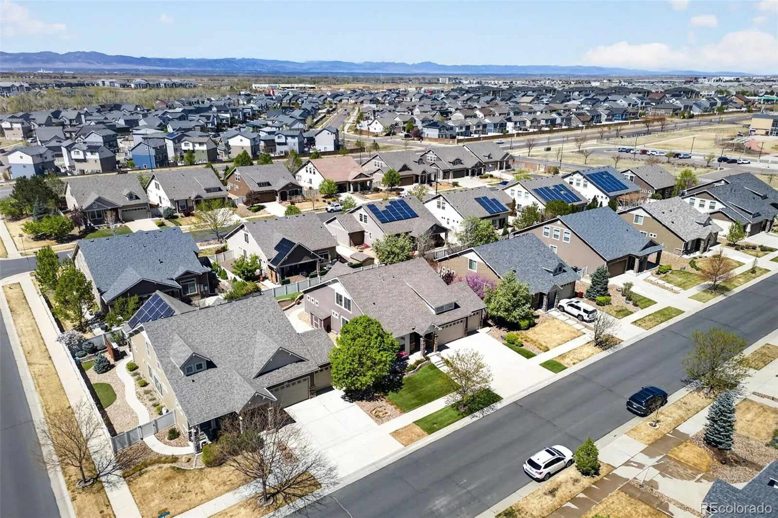 5461 Ensenada Court Denver CO 80249 MLS #REC3941719 04172026162945 1600 42