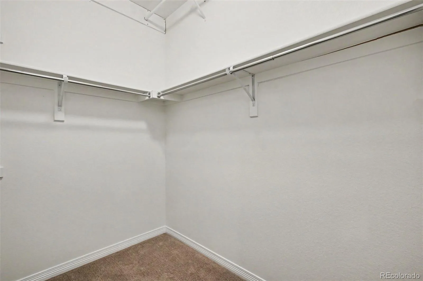 8777 Ginkgo Loop Parker CO 80134 MLS #REC3945750 07202026033915 1600 20