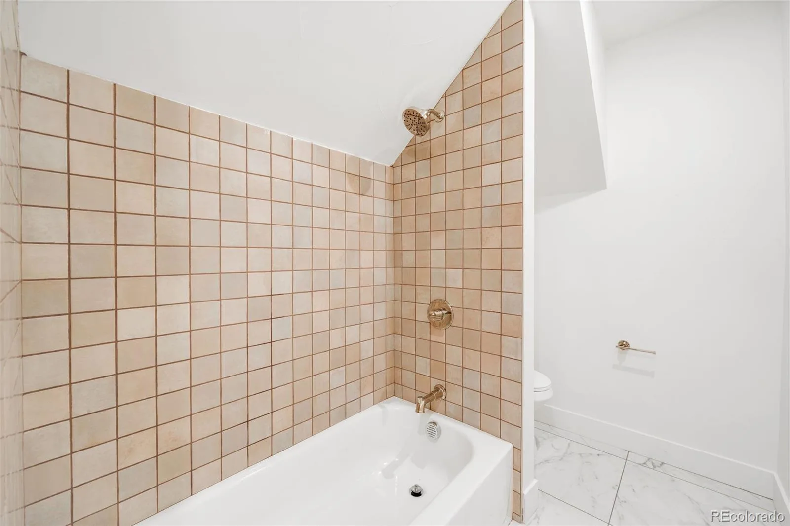 2343 Dahlia Street Denver CO 80207 MLS #REC3946024 07142026235307 1600 24