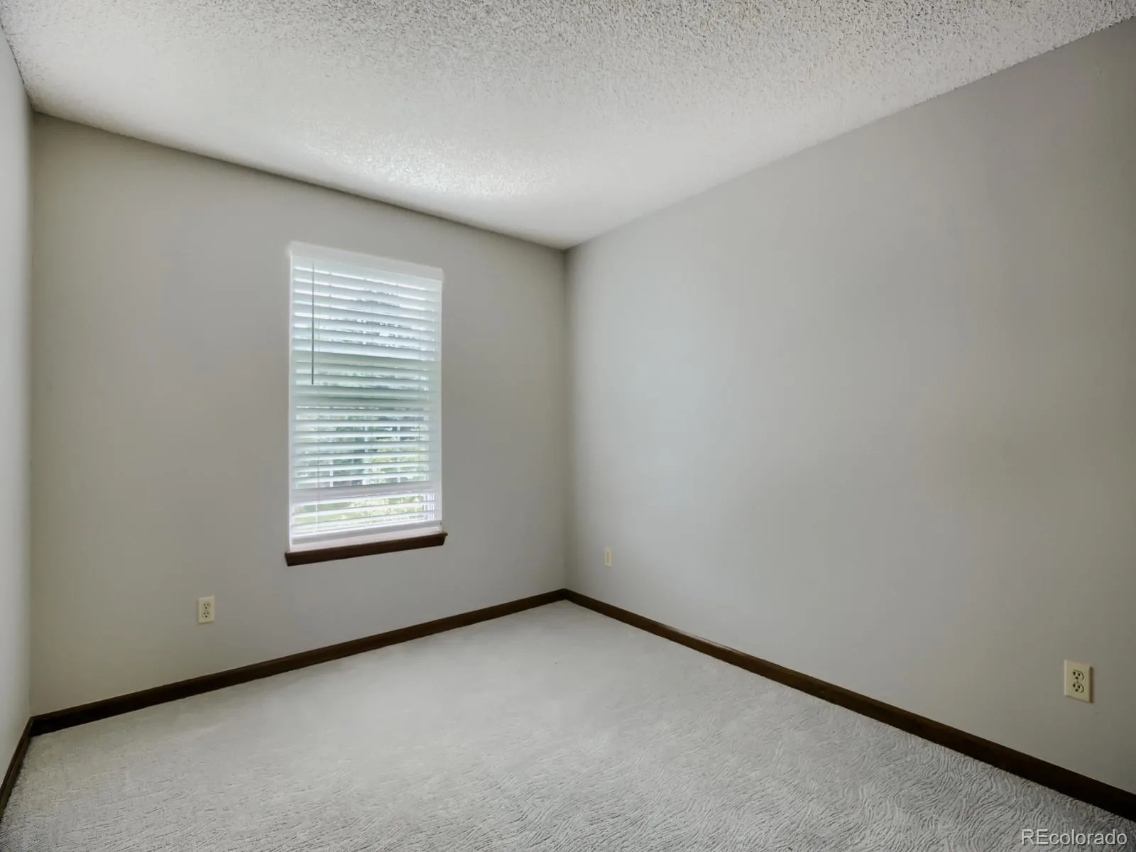 16294 E Belleview Drive Centennial CO 80015 MLS #REC3950964 06092026012612 1600 20