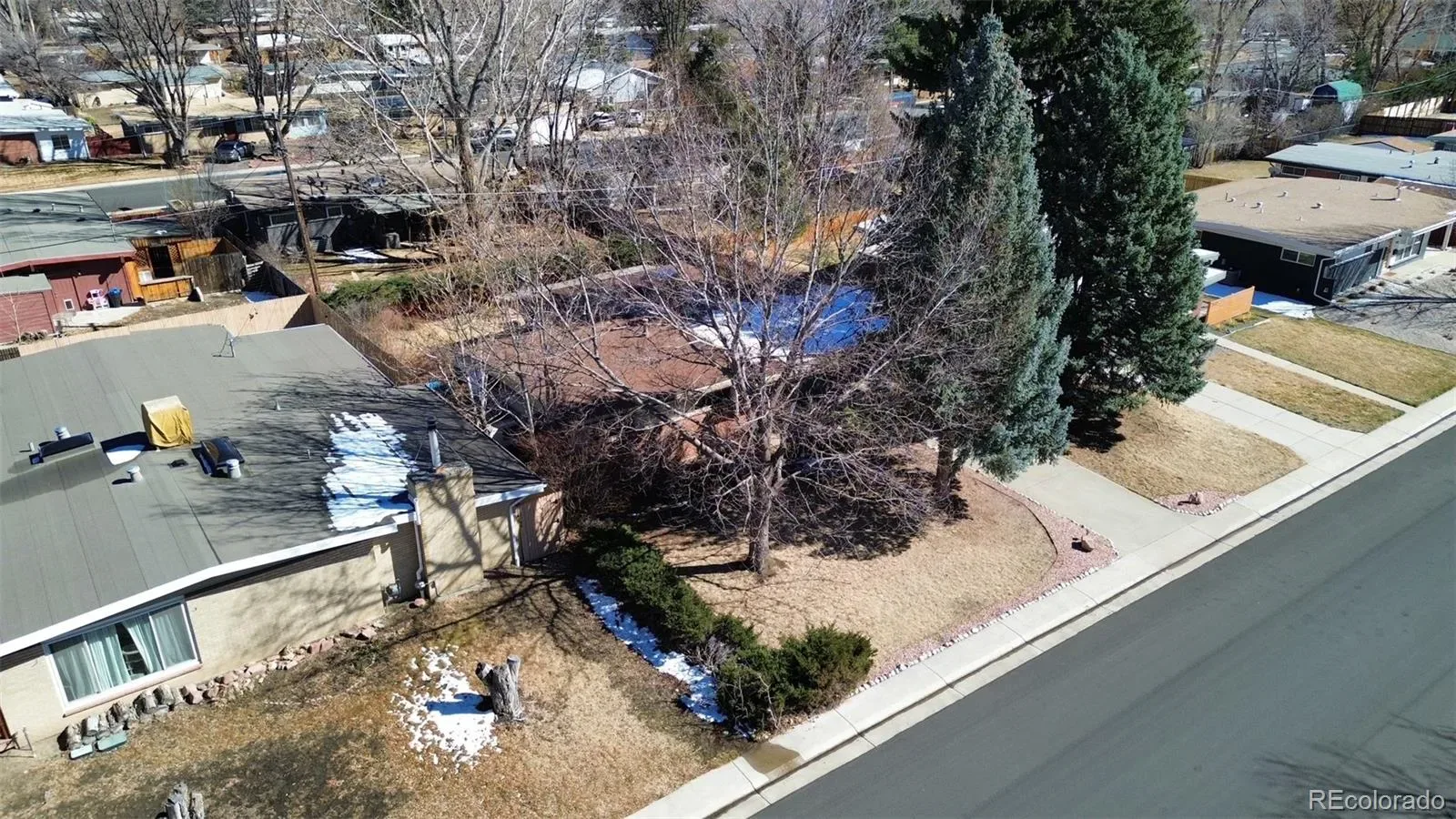 03182026045146 1600 37