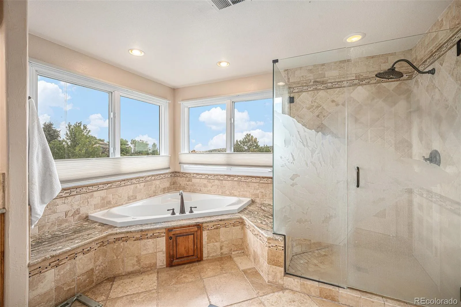 6387 Willow Springs Drive Morrison CO 80465 | MLS #REC3958167 08212026170715 1600 21