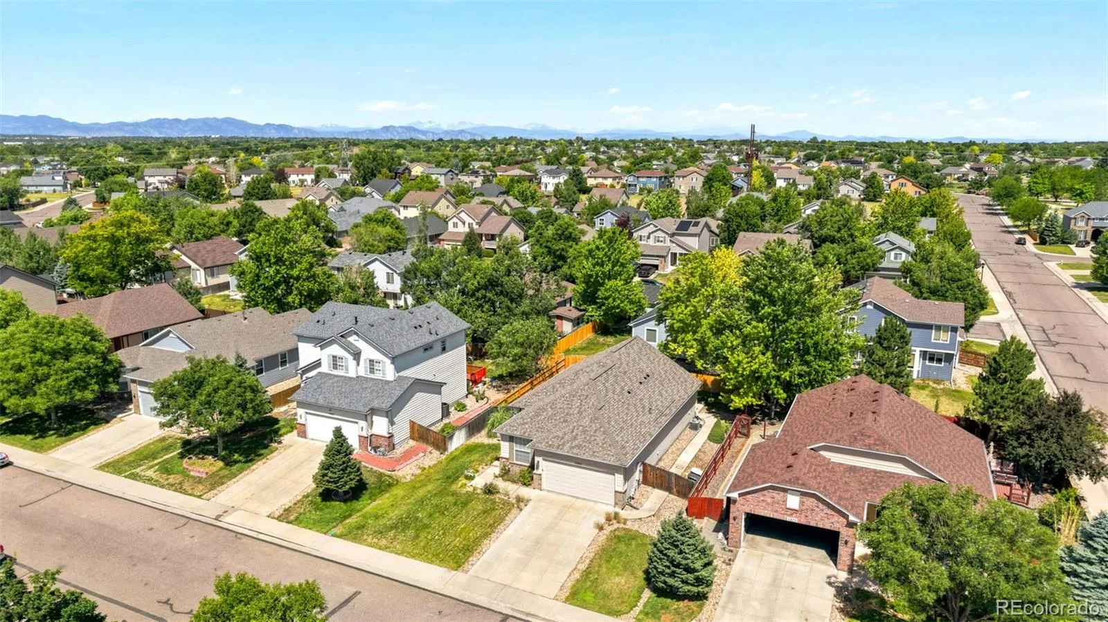 11373 Newport Street Thornton CO 80233 | MLS #REC3959006 08082026173339 1600 32