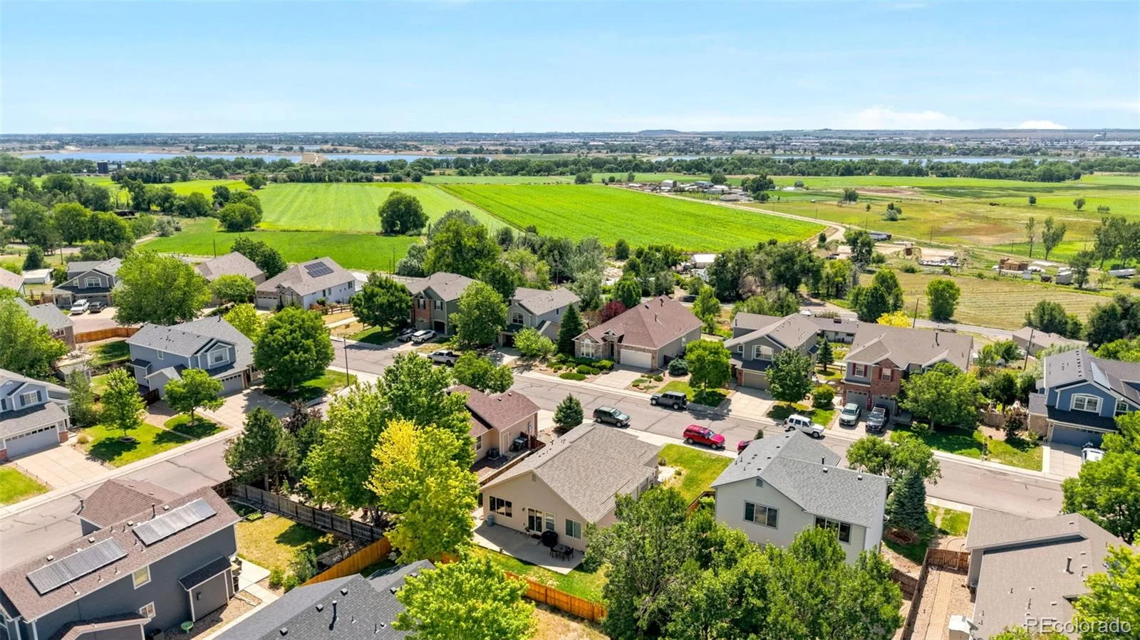 11373 Newport Street Thornton CO 80233 | MLS #REC3959006 08082026173339 1600 33