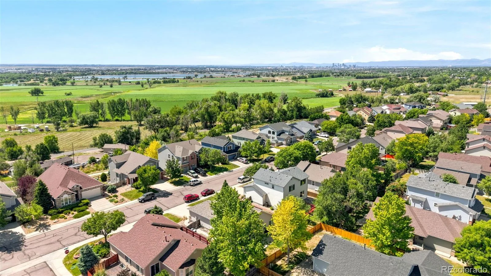 11373 Newport Street Thornton CO 80233 | MLS #REC3959006 08082026173339 1600 34