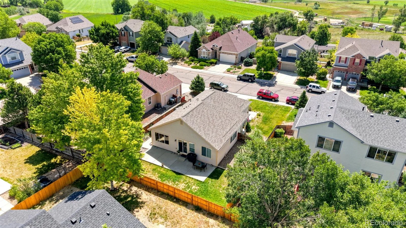 11373 Newport Street Thornton CO 80233 | MLS #REC3959006 08082026173339 1600 38