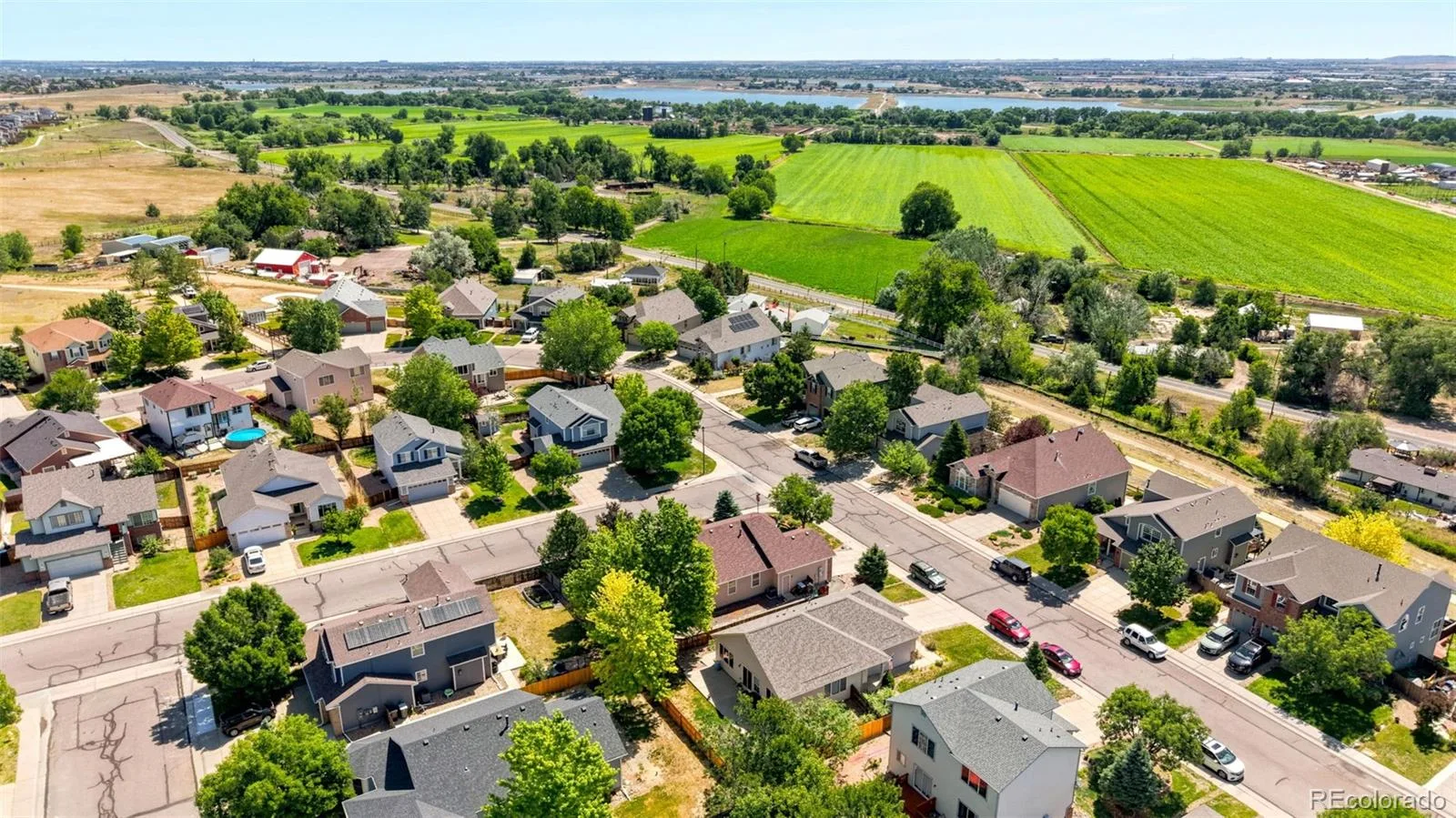 11373 Newport Street Thornton CO 80233 | MLS #REC3959006 08082026173339 1600 39