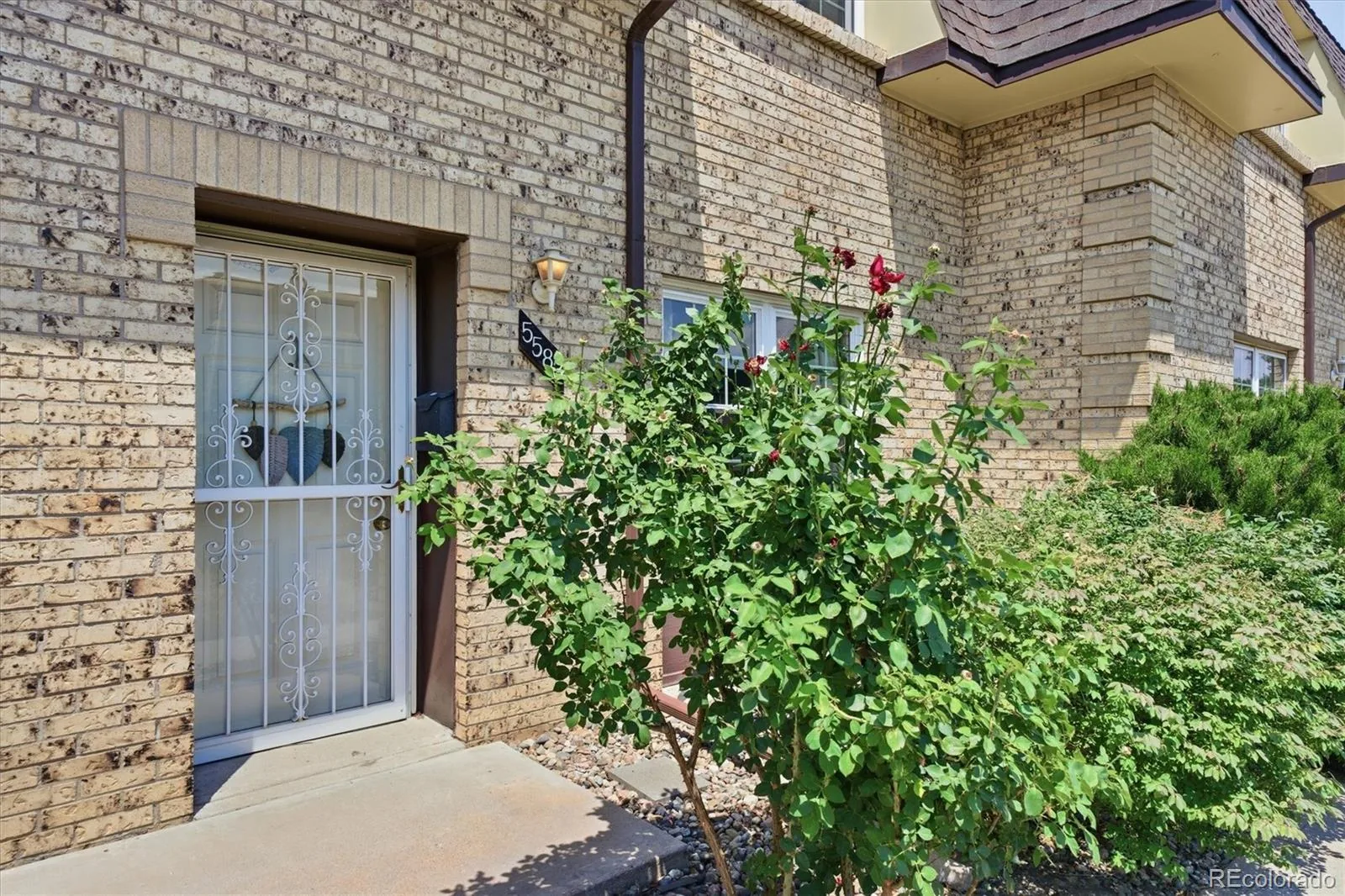 5583 S Lowell Boulevard Littleton CO 80123 | MLS #REC3959453 07142026144819 1600 1