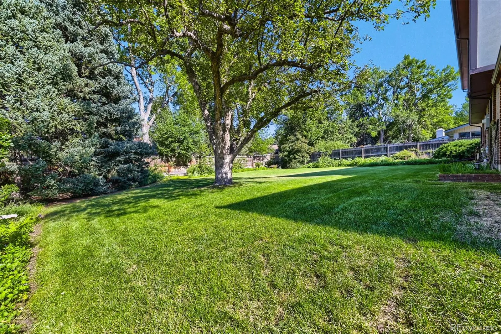 2900 Quail Street Lakewood CO 80215 MLS #REC3960396 06172026213052 1600 25