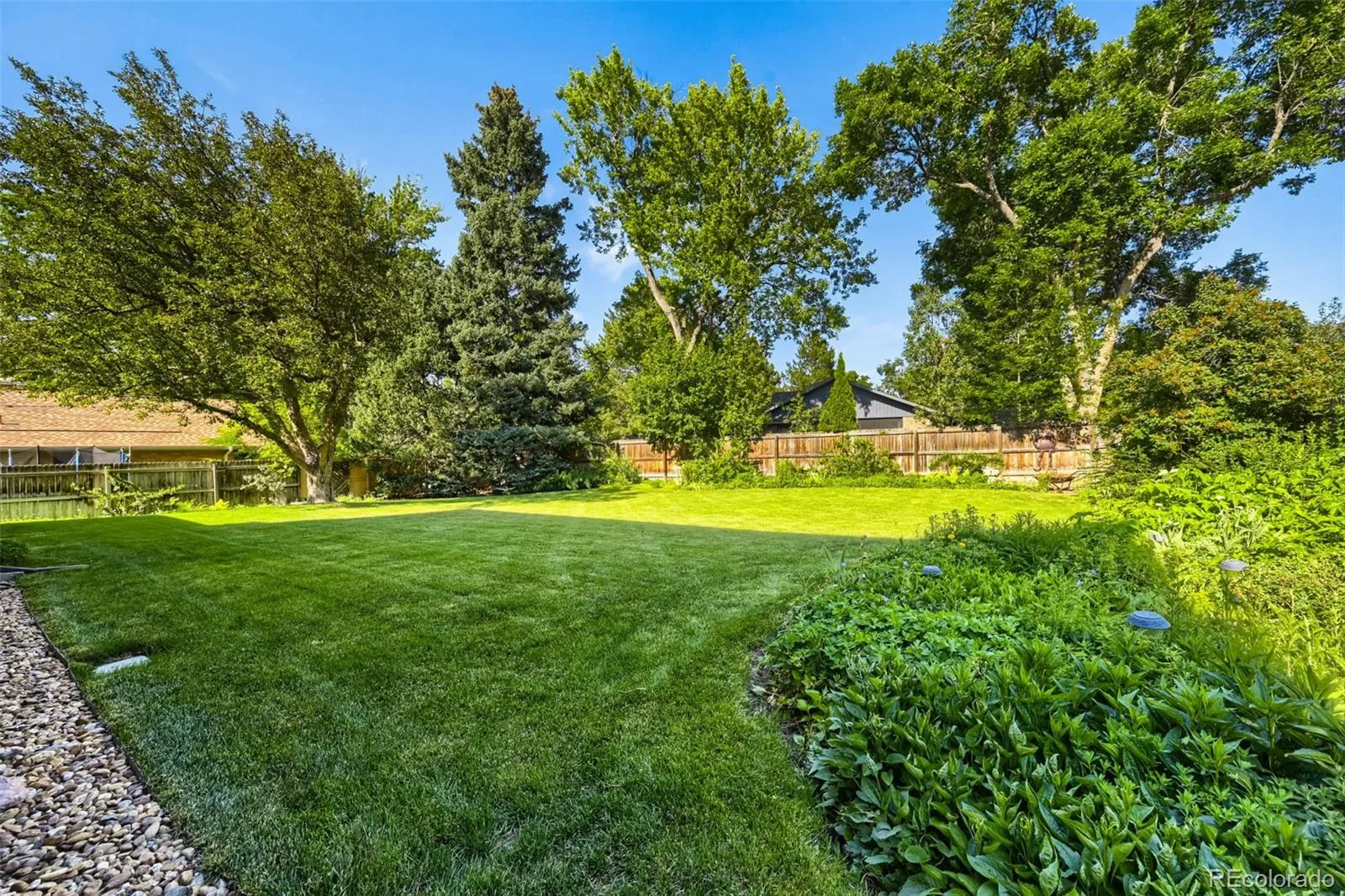 2900 Quail Street Lakewood CO 80215 MLS #REC3960396 06172026213052 1600 26