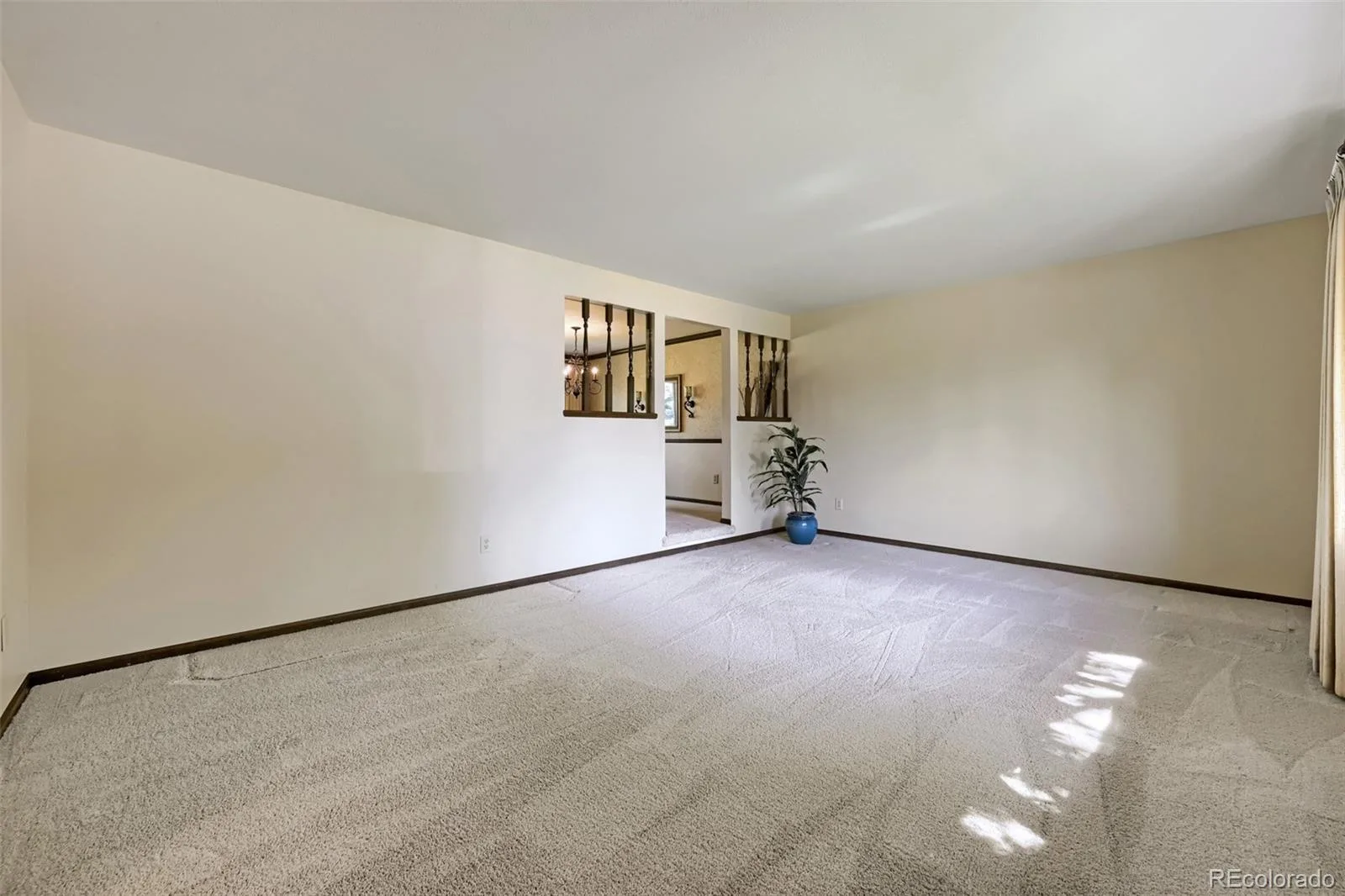 2900 Quail Street Lakewood CO 80215 MLS #REC3960396 06172026213052 1600 4