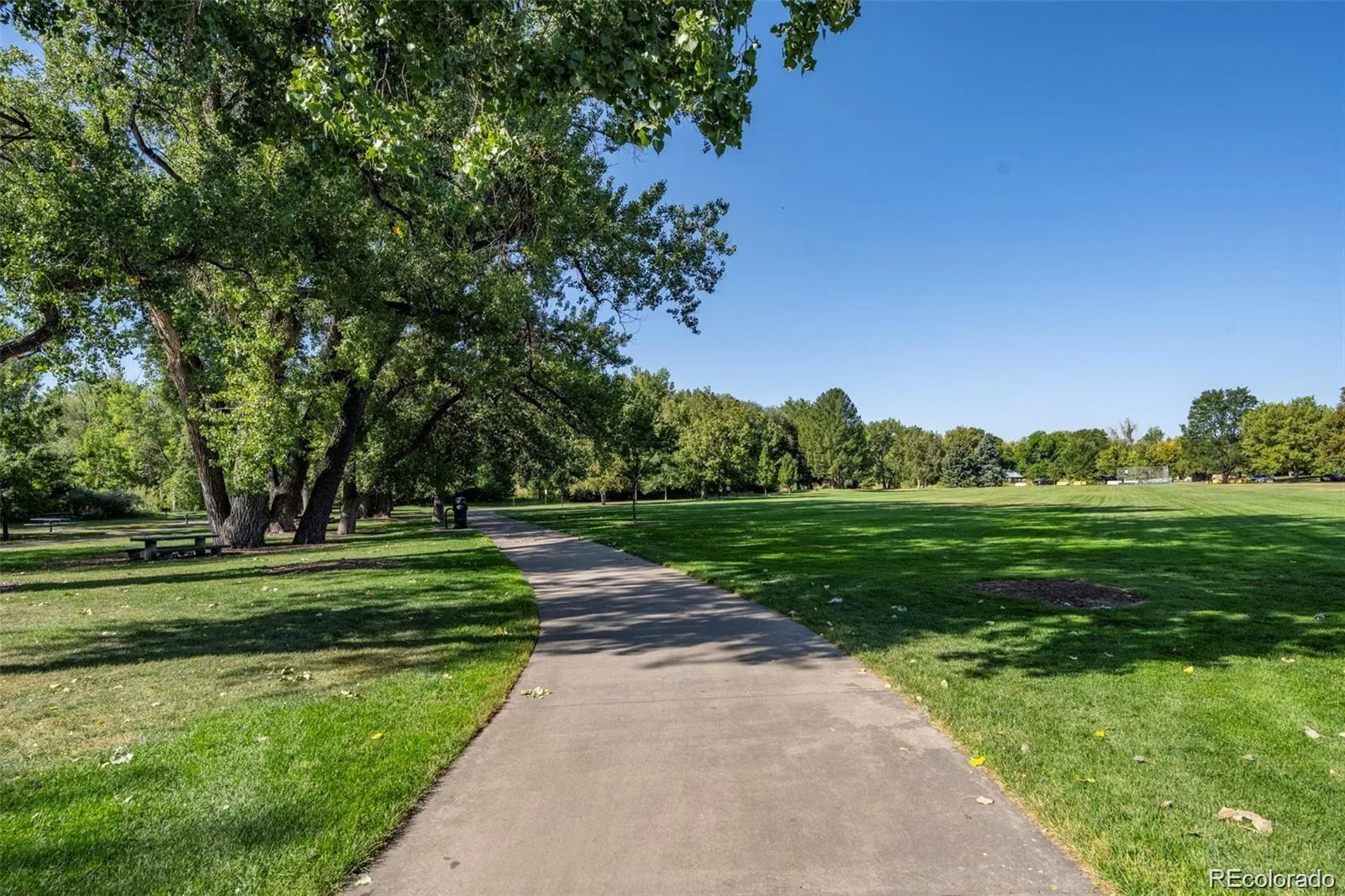 7101 W Yale Avenue #3904 Denver CO 80227 | MLS #REC3963063 08172026222940 1600 26