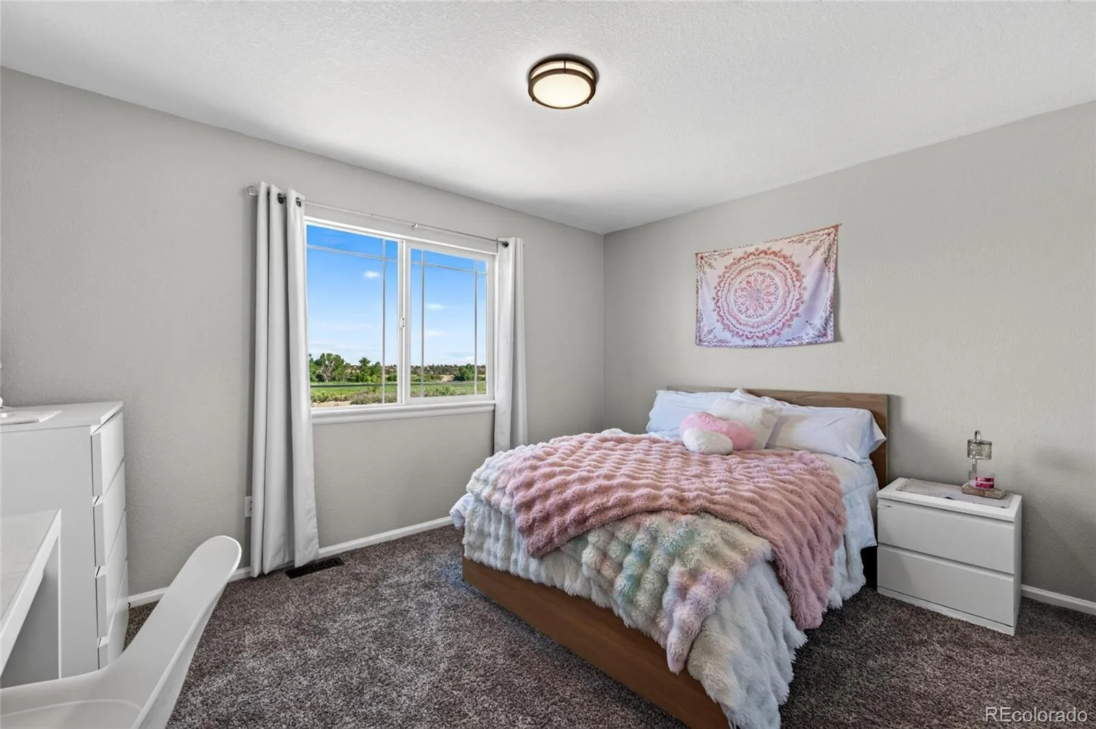337 Peabody Street Castle Rock CO 80104 | MLS #REC3991162 07252026002427 1600 19