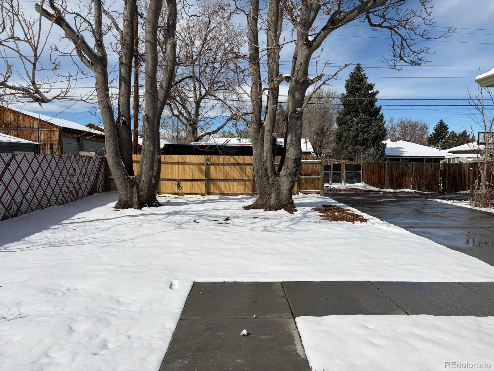 04222026003720 1600 31