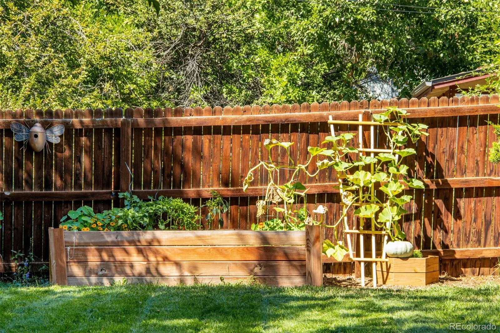8070 W 25th Place Denver CO 80214 | MLS #REC4001927 08242026024619 1600 9