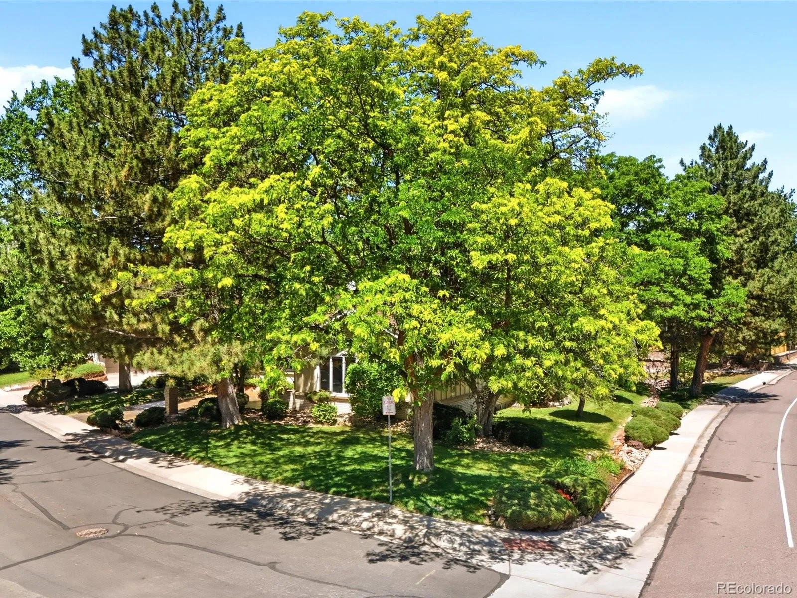 4811 W 102nd Avenue Westminster CO 80031 MLS #REC4011404 07022026011553 1600 46