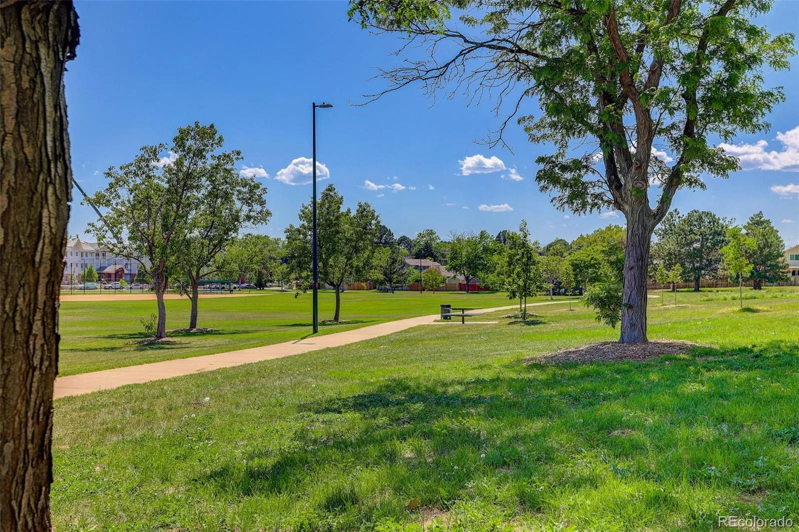 4684 Chandler Court Denver CO 80239 | MLS #REC4014308 06262026044421 1600 30