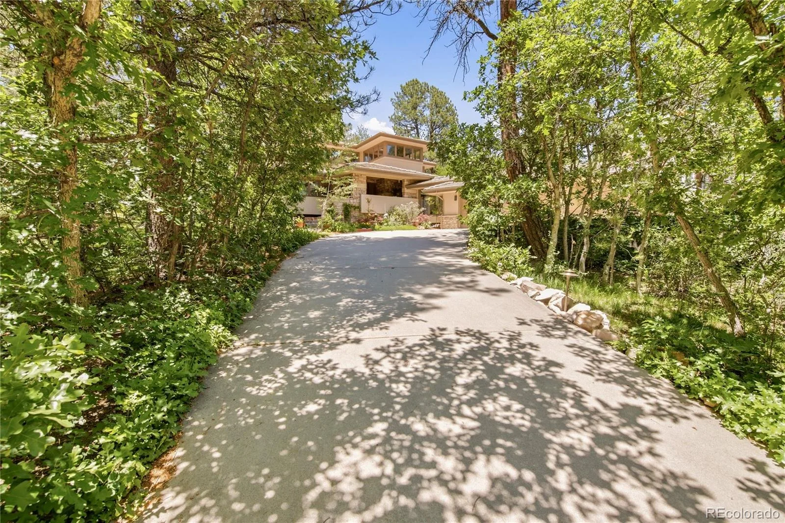 504 Providence Drive Castle Rock CO 80108 MLS #REC4025331 07092026223443 1600 42