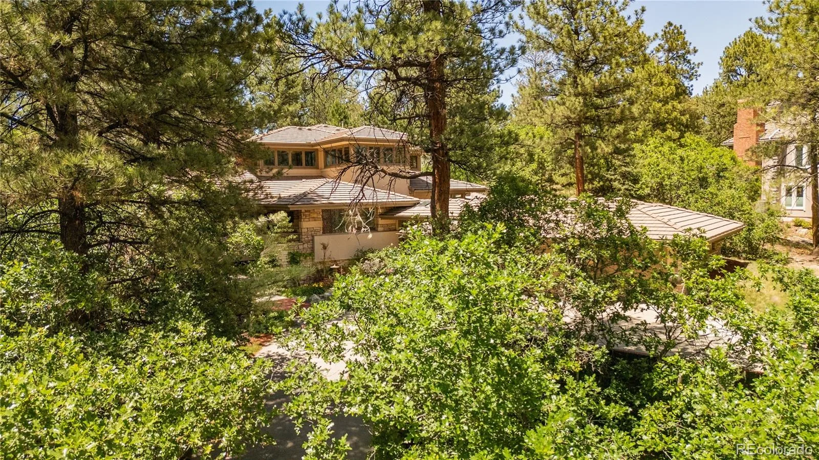 504 Providence Drive Castle Rock CO 80108 MLS #REC4025331 07092026223443 1600 44