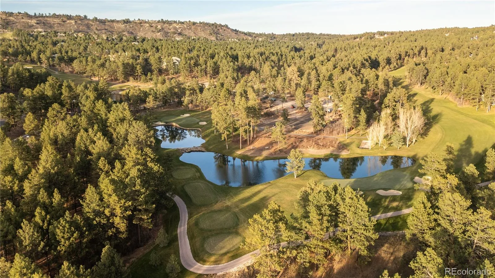 504 Providence Drive Castle Rock CO 80108 MLS #REC4025331 07092026223443 1600 48